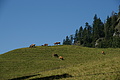 DSC06255 - Bernhard Saalfeld