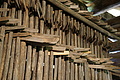 DSC06283 - Bernhard Saalfeld