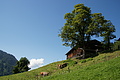 DSC06289 - Bernhard Saalfeld