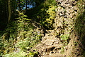DSC06293 - Bernhard Saalfeld