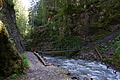 DSC06299 - Bernhard Saalfeld