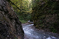 DSC06302 - Bernhard Saalfeld