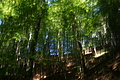 DSC06308 - Bernhard Saalfeld