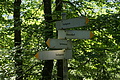 DSC06314 - Bernhard Saalfeld