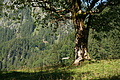 DSC06315 - Bernhard Saalfeld