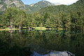 DSC06321 - Bernhard Saalfeld