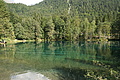 DSC06324 - Bernhard Saalfeld