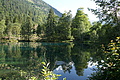 DSC06326 - Bernhard Saalfeld