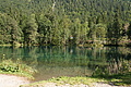 DSC06327 - Bernhard Saalfeld