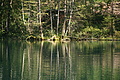 DSC06328 - Bernhard Saalfeld