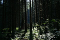 DSC06331 - Bernhard Saalfeld