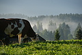 DSC06334 - Bernhard Saalfeld