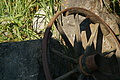 DSC06335 - Bernhard Saalfeld