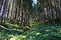DSC06342 - Bernhard Saalfeld