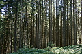 DSC06343 - Bernhard Saalfeld