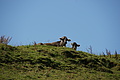 DSC06344 - Bernhard Saalfeld