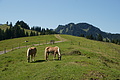 DSC06350 - Bernhard Saalfeld
