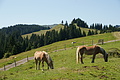 DSC06353 - Bernhard Saalfeld