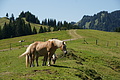 DSC06355 - Bernhard Saalfeld