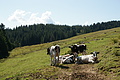 DSC06357 - Bernhard Saalfeld