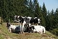 DSC06359 - Bernhard Saalfeld