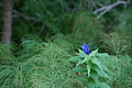 DSC06367 - Bernhard Saalfeld