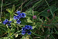 DSC06373 - Bernhard Saalfeld