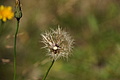 DSC06374 - Bernhard Saalfeld