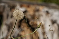 DSC06376 - Bernhard Saalfeld