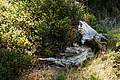 DSC06377 - Bernhard Saalfeld