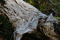 DSC06379 - Bernhard Saalfeld