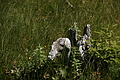 DSC06381 - Bernhard Saalfeld