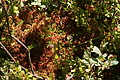 DSC06382 - Bernhard Saalfeld