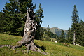DSC06385 - Bernhard Saalfeld