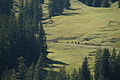 DSC06392 - Bernhard Saalfeld