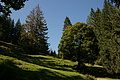 DSC06395 - Bernhard Saalfeld
