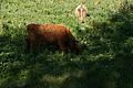 DSC06403 - Bernhard Saalfeld