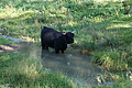 DSC06404 - Bernhard Saalfeld
