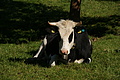 DSC06419 - Bernhard Saalfeld