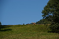 DSC06420 - Bernhard Saalfeld