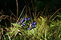 DSC06425 - Bernhard Saalfeld