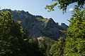 DSC06426 - Bernhard Saalfeld