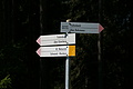 DSC06436 - Bernhard Saalfeld