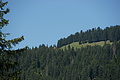 DSC06440 - Bernhard Saalfeld