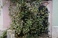 DSC06452 - Bernhard Saalfeld