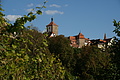 DSC06485 - Bernhard Saalfeld