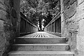 L1001158 - Bernhard Saalfeld