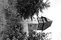 L1001170 - Bernhard Saalfeld