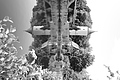L1001178 - Bernhard Saalfeld