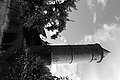 L1001188 - Bernhard Saalfeld